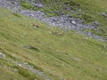 Herbstwanderung Claridenhütte 2014, Bild 58/67