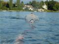 Wakeboarden 2008, Bild 6/11