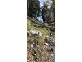 Herbstwanderung 2024, Bild 3/7